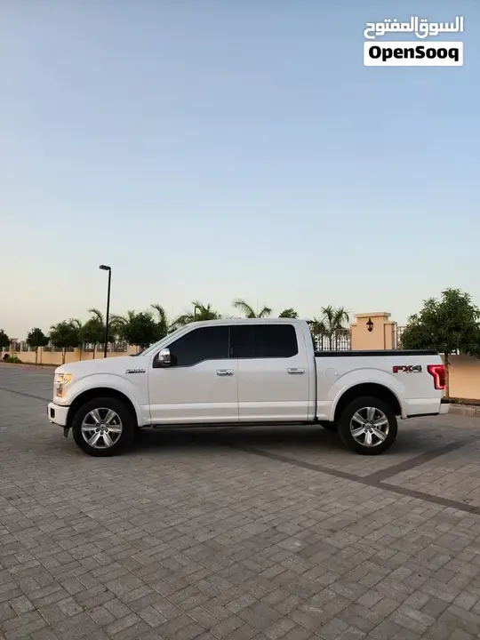 Ford F-150 2017 photo 3
