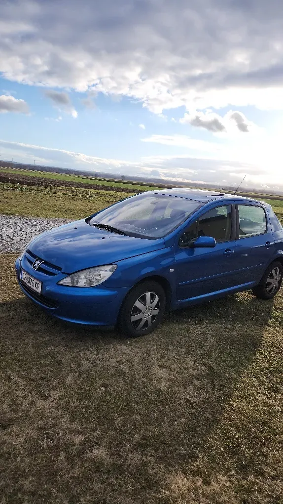 Peugeot 307 2004 photo 2