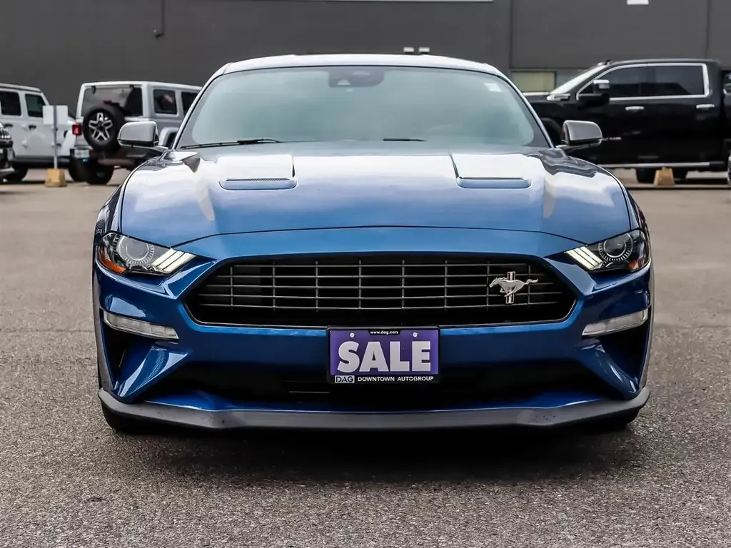 Ford Mustang 2022 photo 2