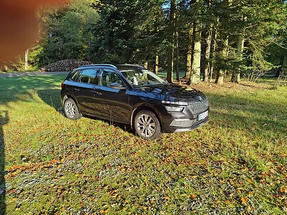 Skoda Kamiq 2021 photo 2