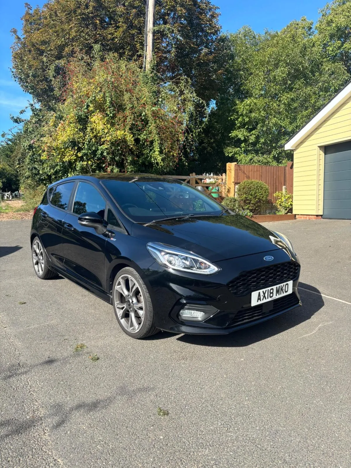 Ford Fiesta 2018 photo 3