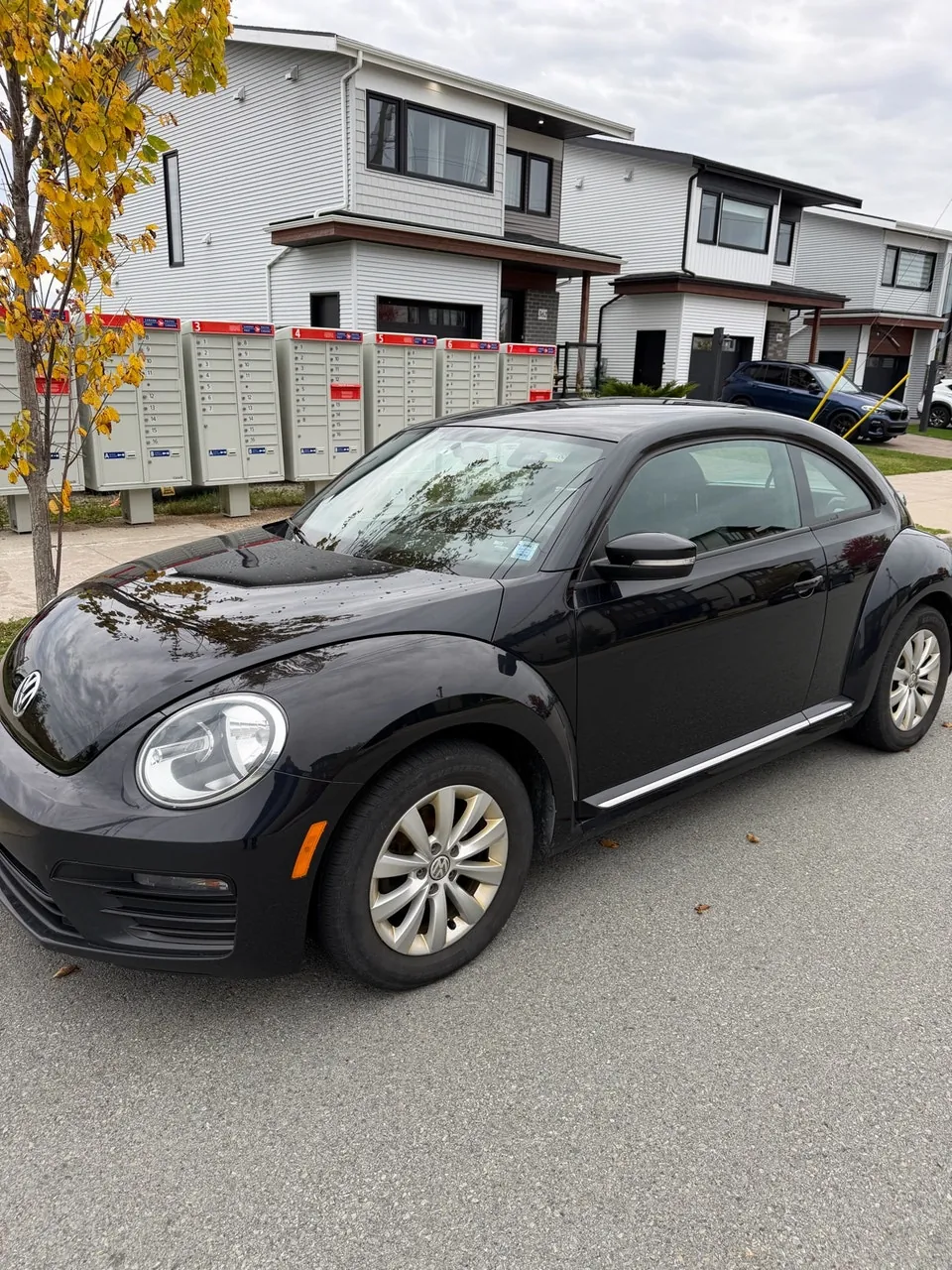 Volkswagen Beetle