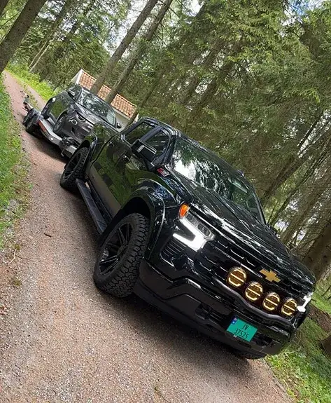 Chevrolet Silverado 1500 2025 photo 2