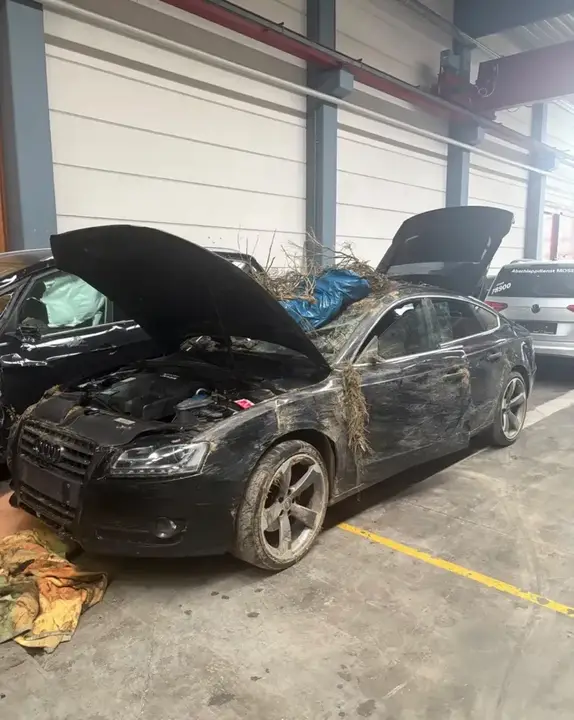 Audi A5 2011 photo 3