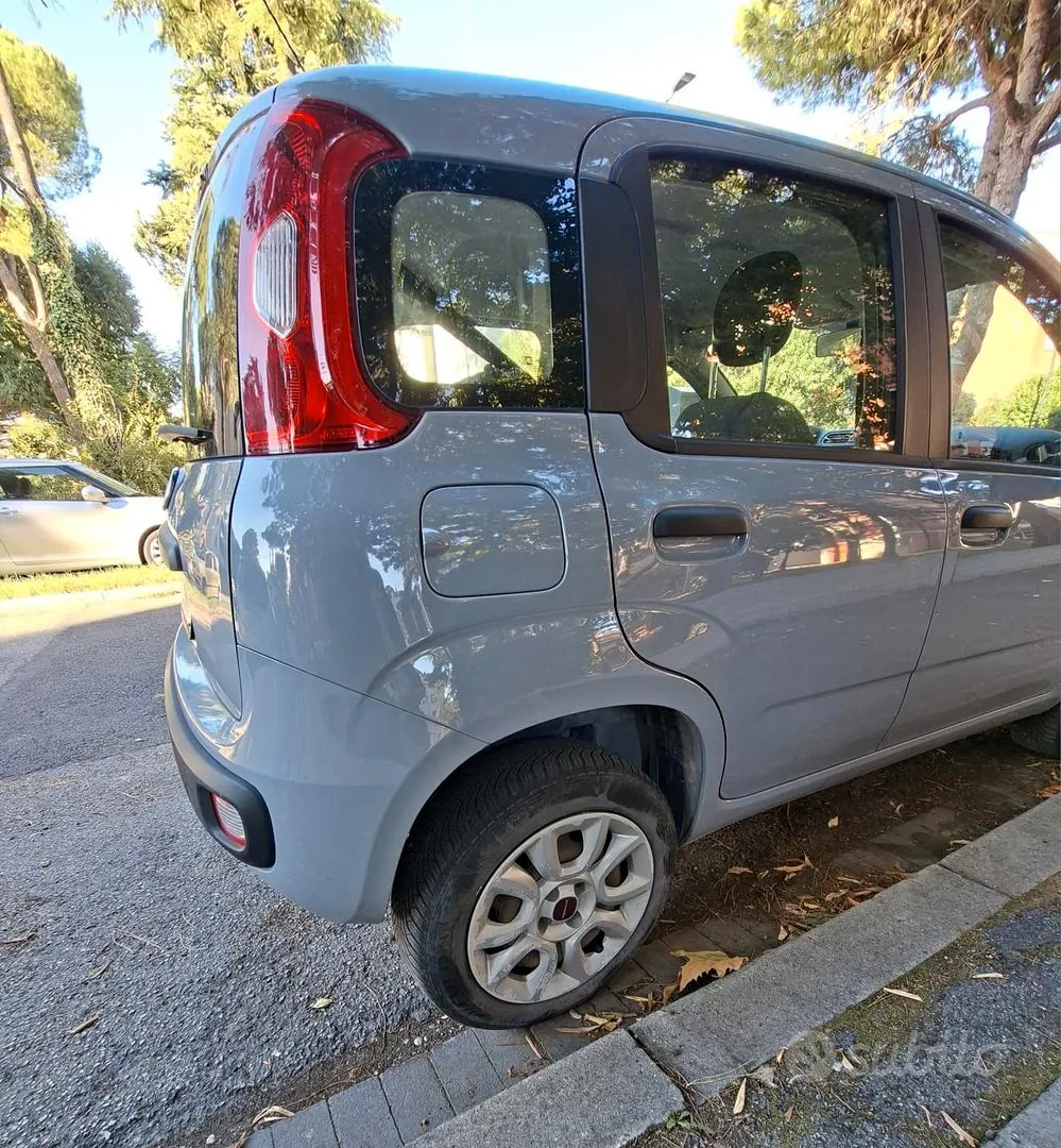 Fiat Panda 2019 photo 2