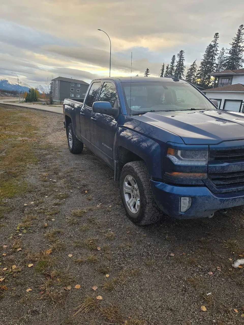 Chevrolet Silverado 1500 2019 photo 5