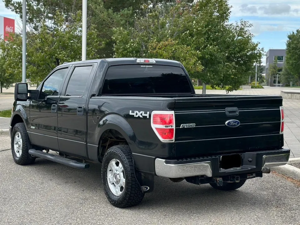 Ford F-150 2014 photo 3