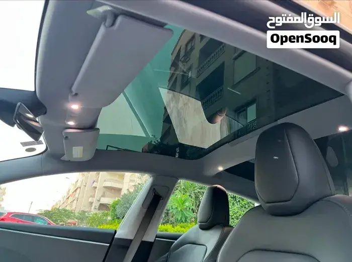 Tesla Model 3 2024 photo 4