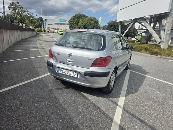Peugeot 307 2004 photo 4