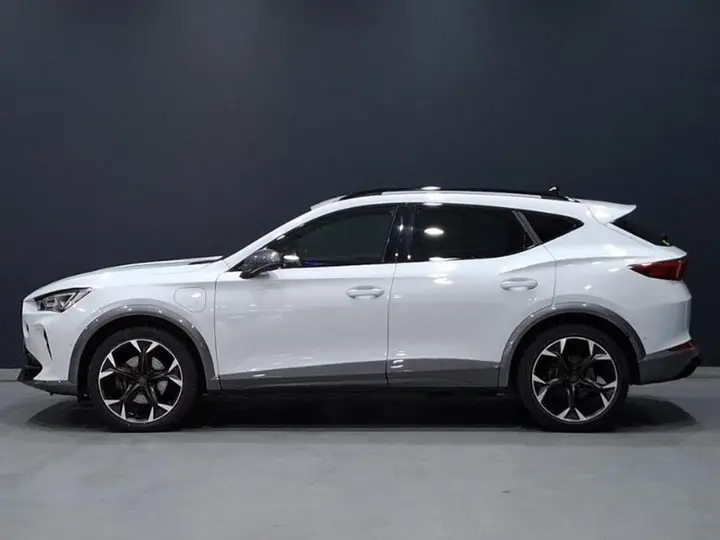 Cupra Formentor 2024 photo 4