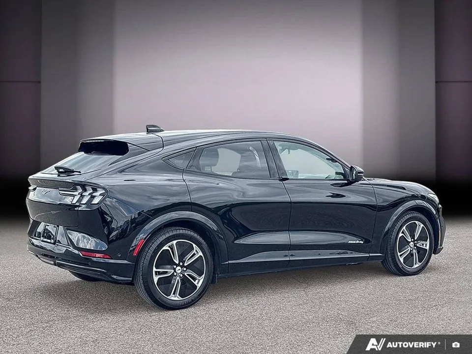 Ford Mustang Mach-E 2023 photo 5