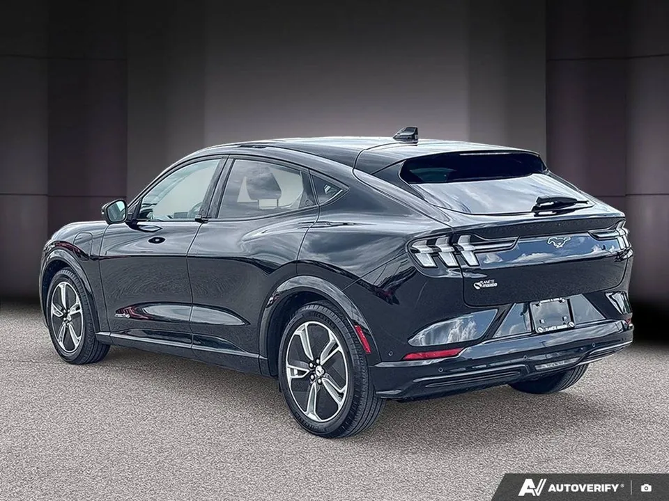 Ford Mustang Mach-E 2023 photo 3