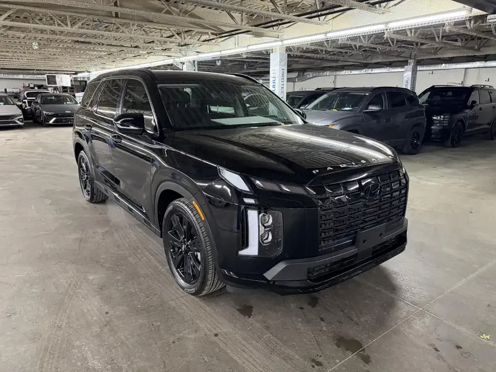 Hyundai Palisade 2024 photo 3