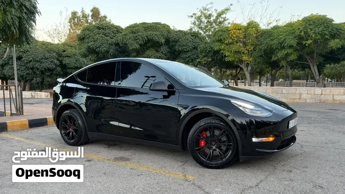 Tesla Model Y 2021 photo 2