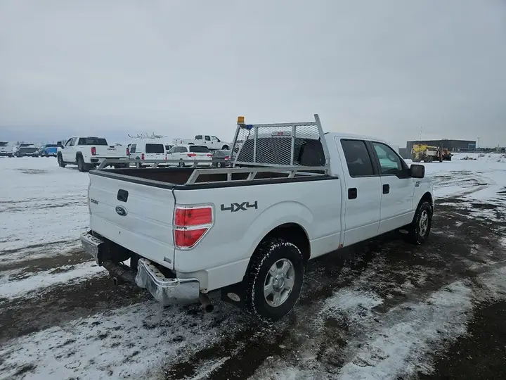Ford F-150 2010 photo 3