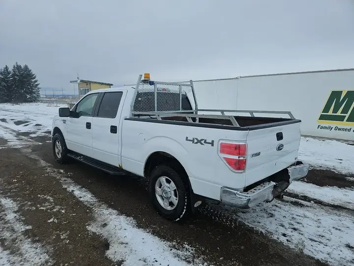 Ford F-150 2010 photo 2