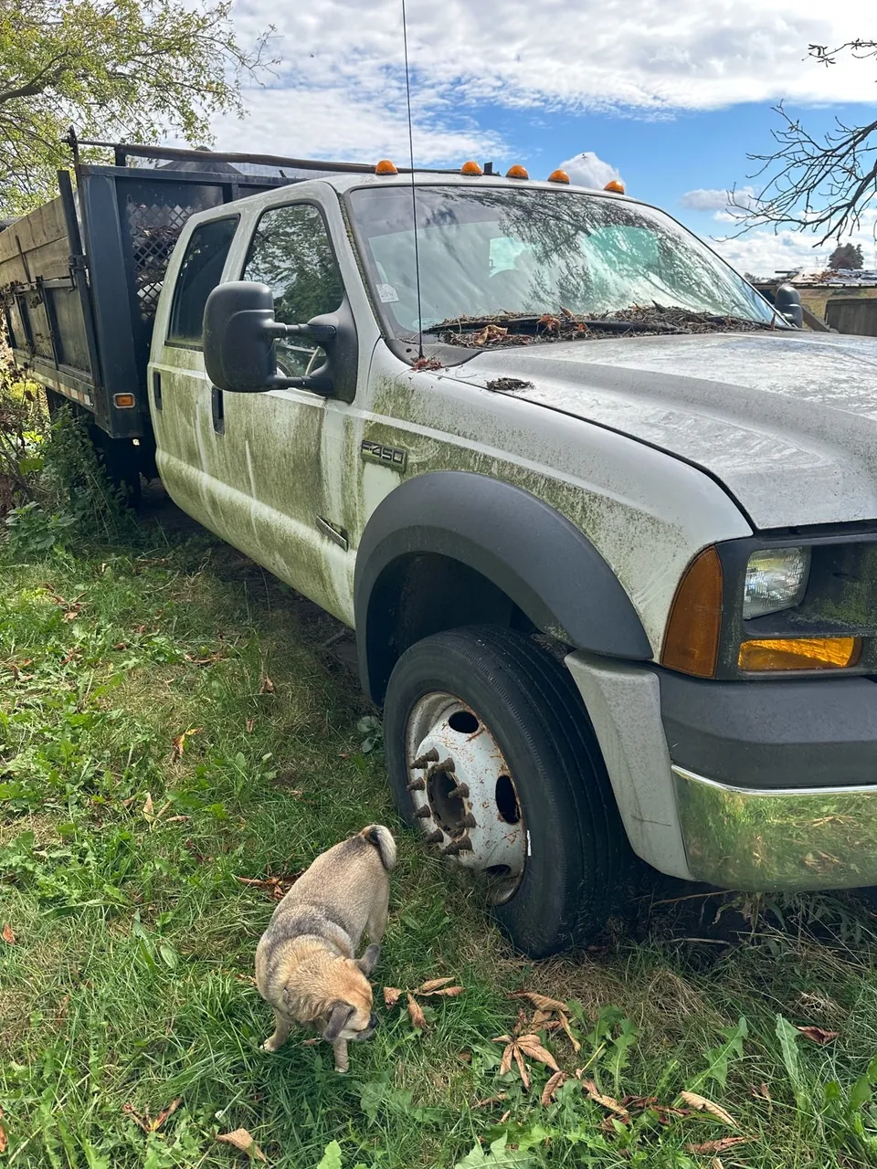 Ford F-450