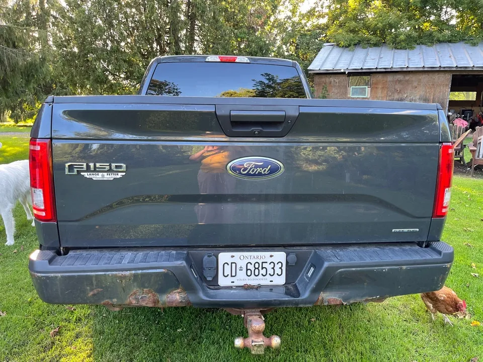 Ford F-150 2016 photo 3