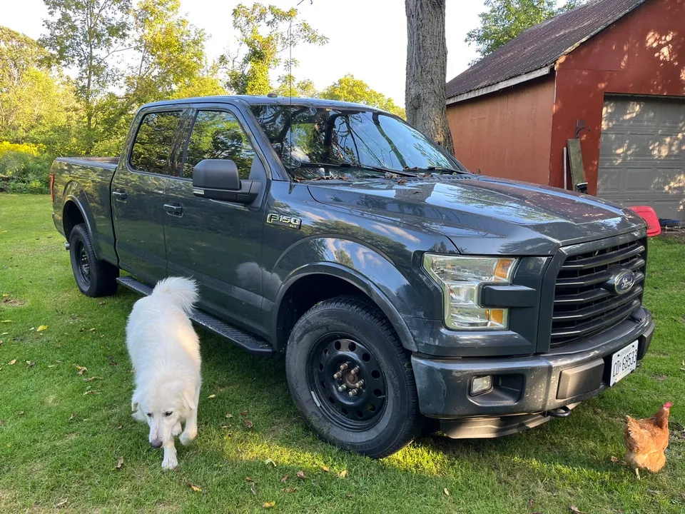 Ford F-150 2016 photo 5