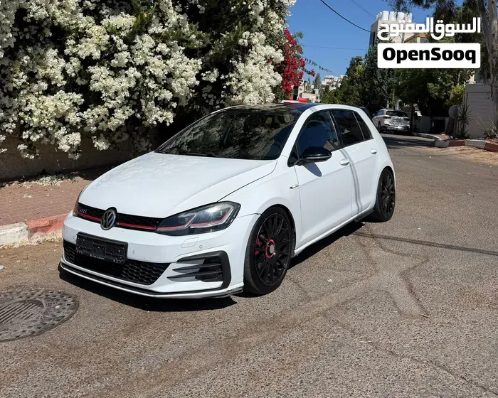 Volkswagen Golf Gti 2019 photo 4