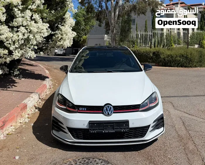 Volkswagen Golf Gti 2019 photo 3