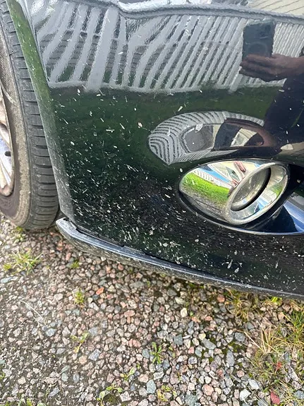Ford Focus 2011 photo 3
