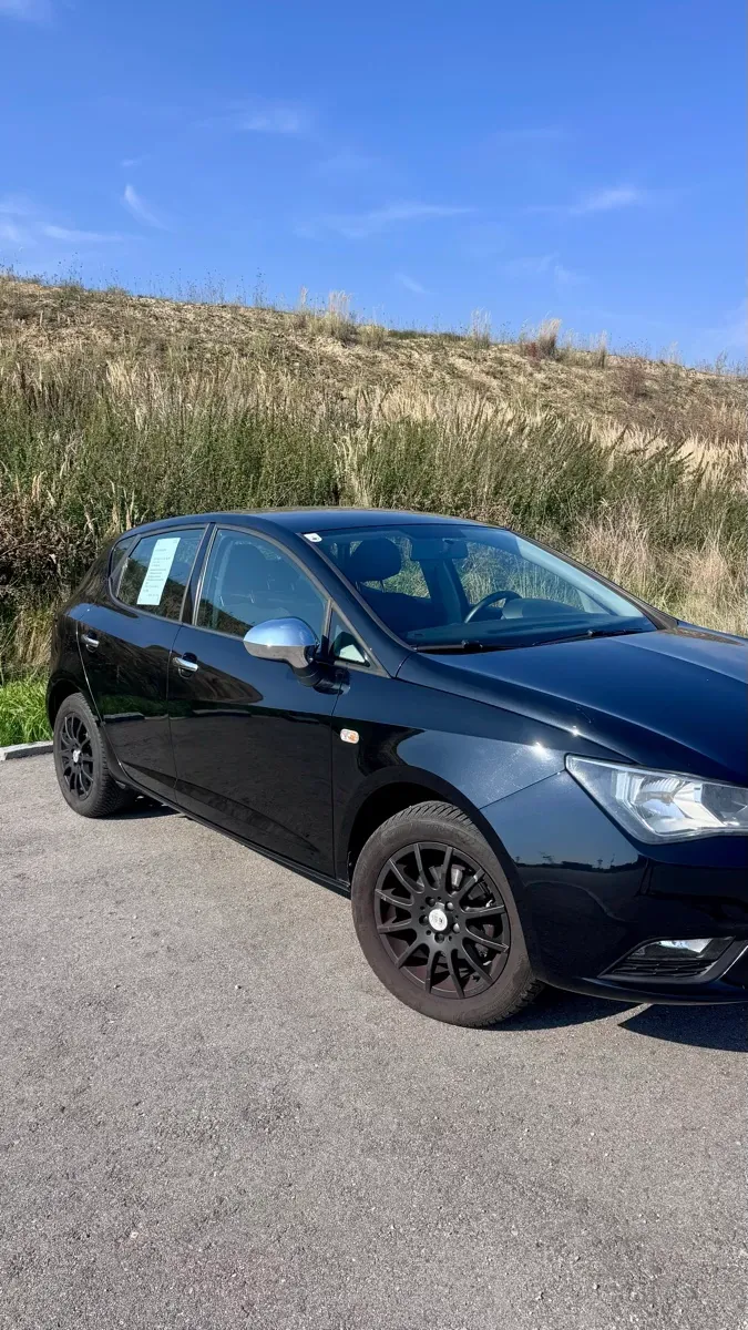 Seat Ibiza 2014 photo 3