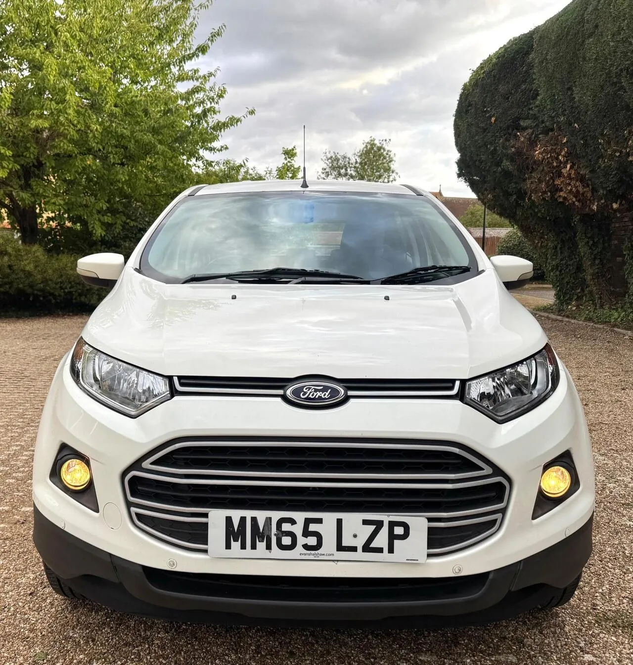Ford Ecosport 2015 photo 3
