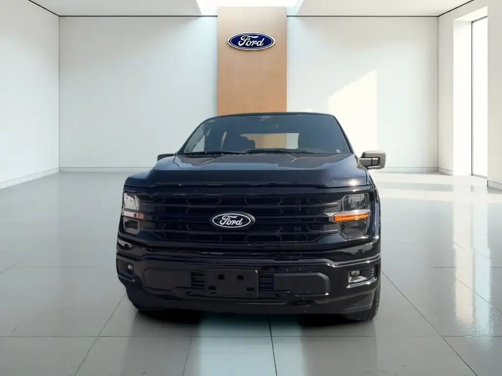 Ford F-150 2024 photo 3