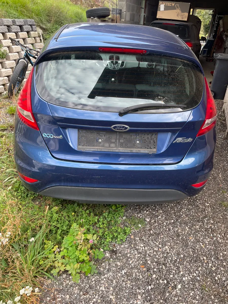 Ford Fiesta 2010 photo 2