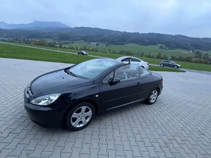 Peugeot 307 2004 photo 3
