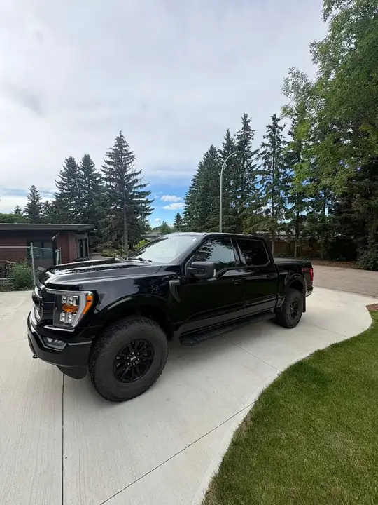 Ford F-150 2021 photo 3