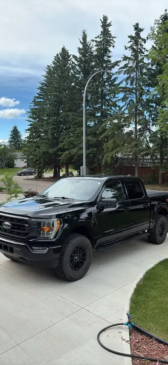 Ford F-150 2021 photo 4