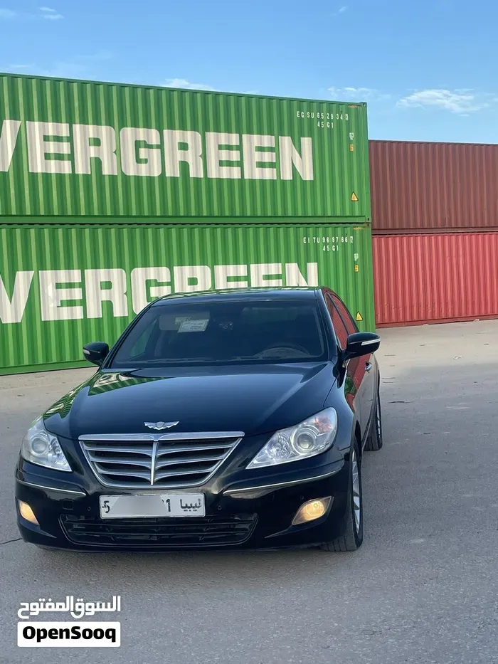 Genesis Sonata