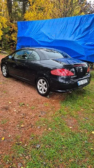 Peugeot 307 2006 photo 3