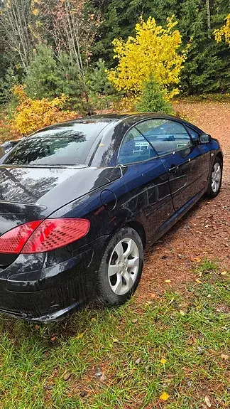 Peugeot 307 2006 photo 2