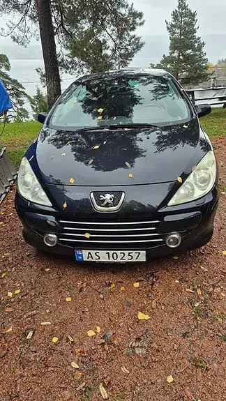 Peugeot 307