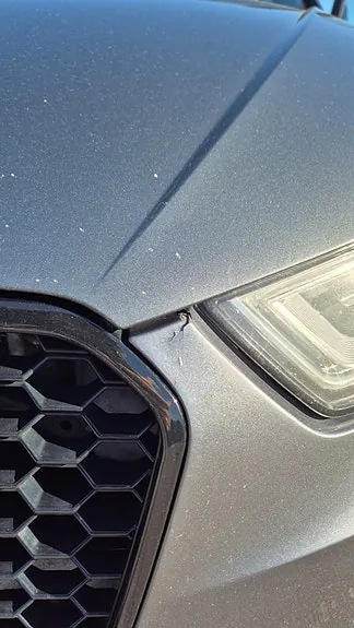 Audi S3 2014 photo 4