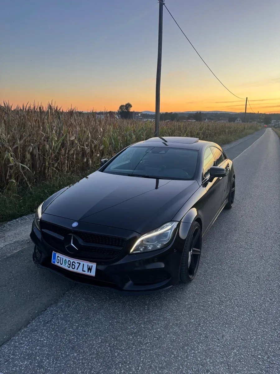Mercedes-Benz Cls-Class 2014 photo 2