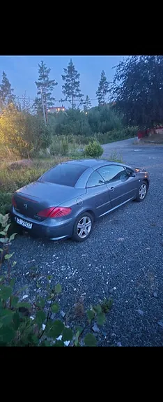 Peugeot 307 2005 photo 2