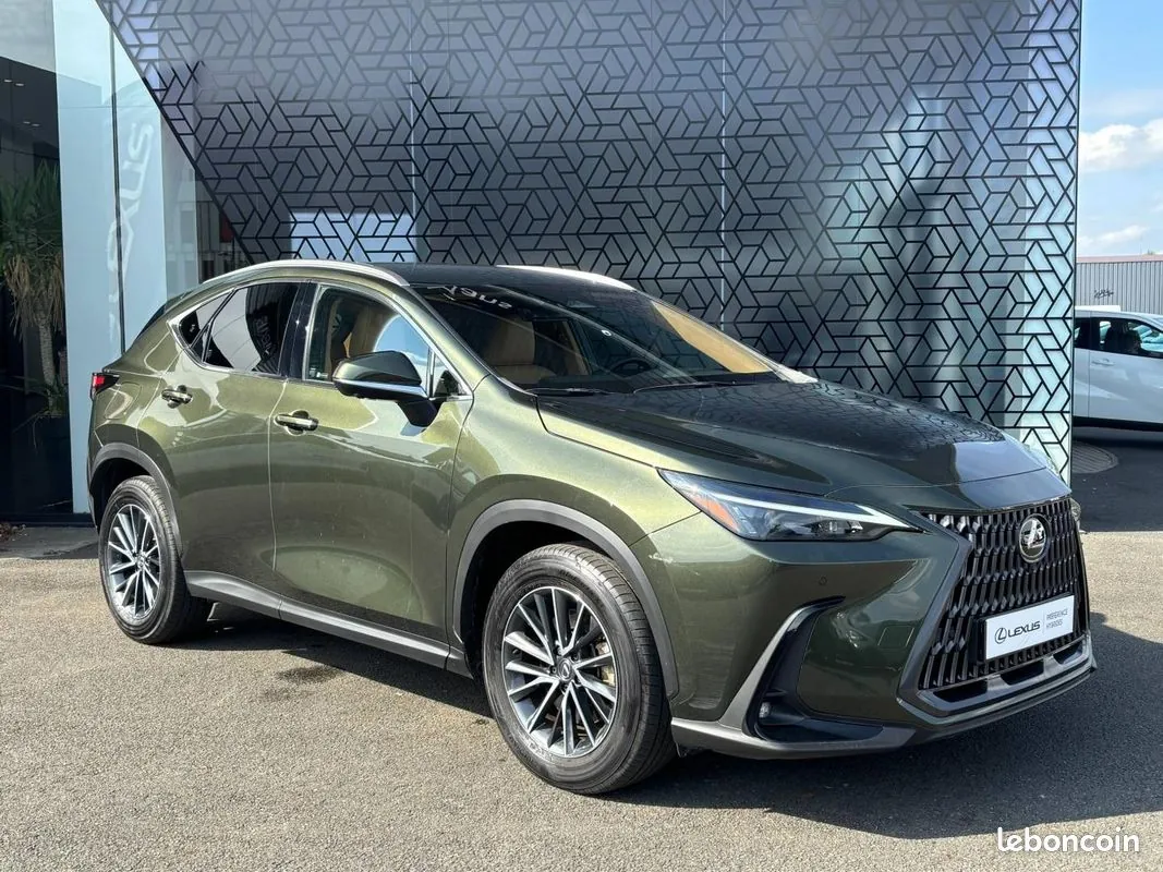 Lexus Nx 2024 photo 2