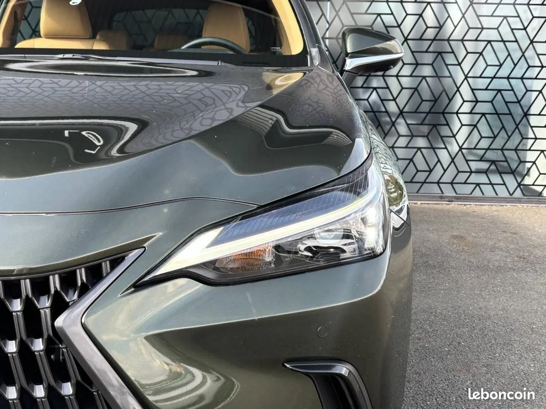 Lexus Nx 2024 photo 5