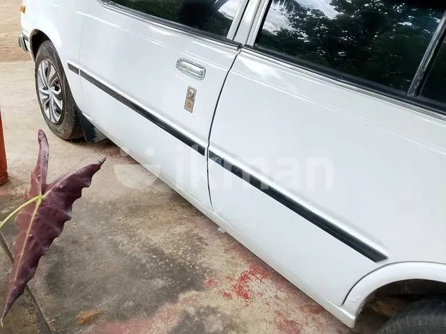 Nissan Sunny 1983 photo 3