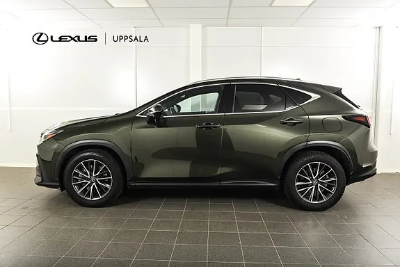 Lexus Nx450H+ 2023 photo 2