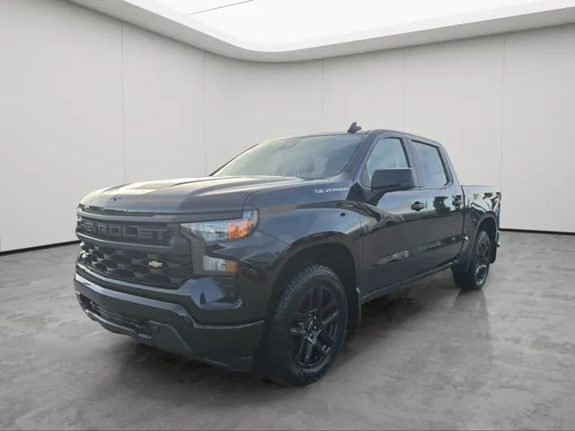 Chevrolet Silverado 1500 2013 photo 3