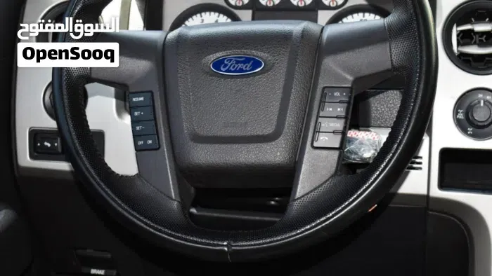 Ford F-150 2010 photo 3