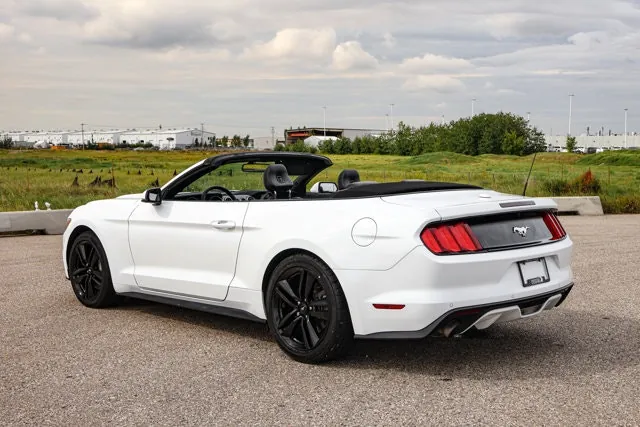 Ford Mustang 2015 photo 2
