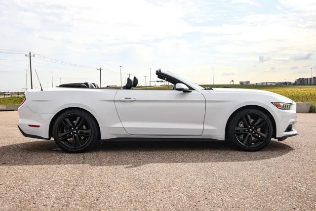 Ford Mustang 2015 photo 5