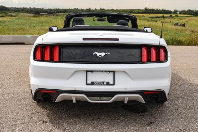 Ford Mustang 2015 photo 3