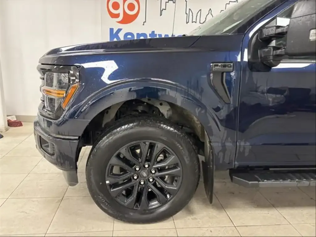 Ford F-150 2024 photo 3